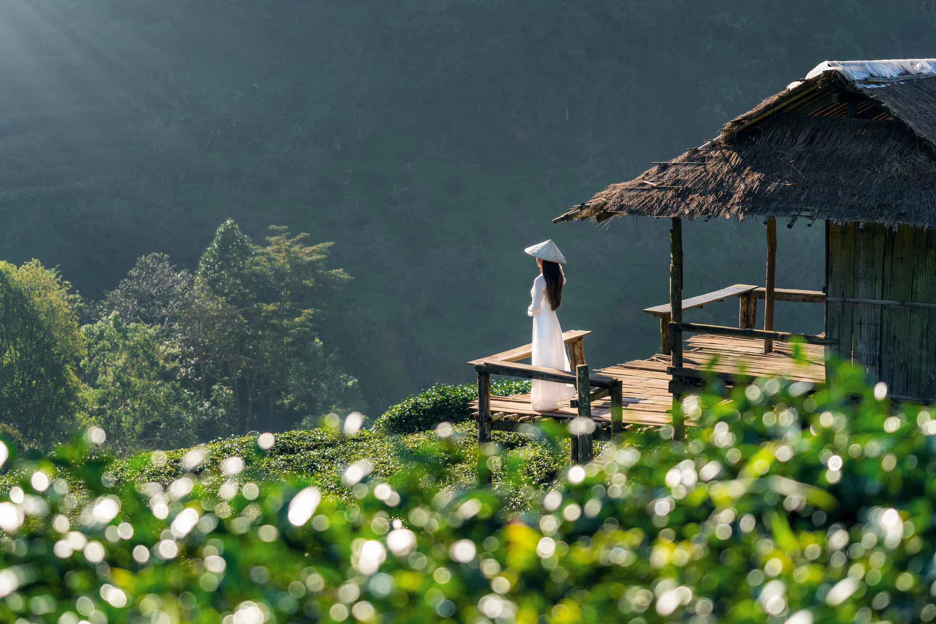 Luxury resort destination