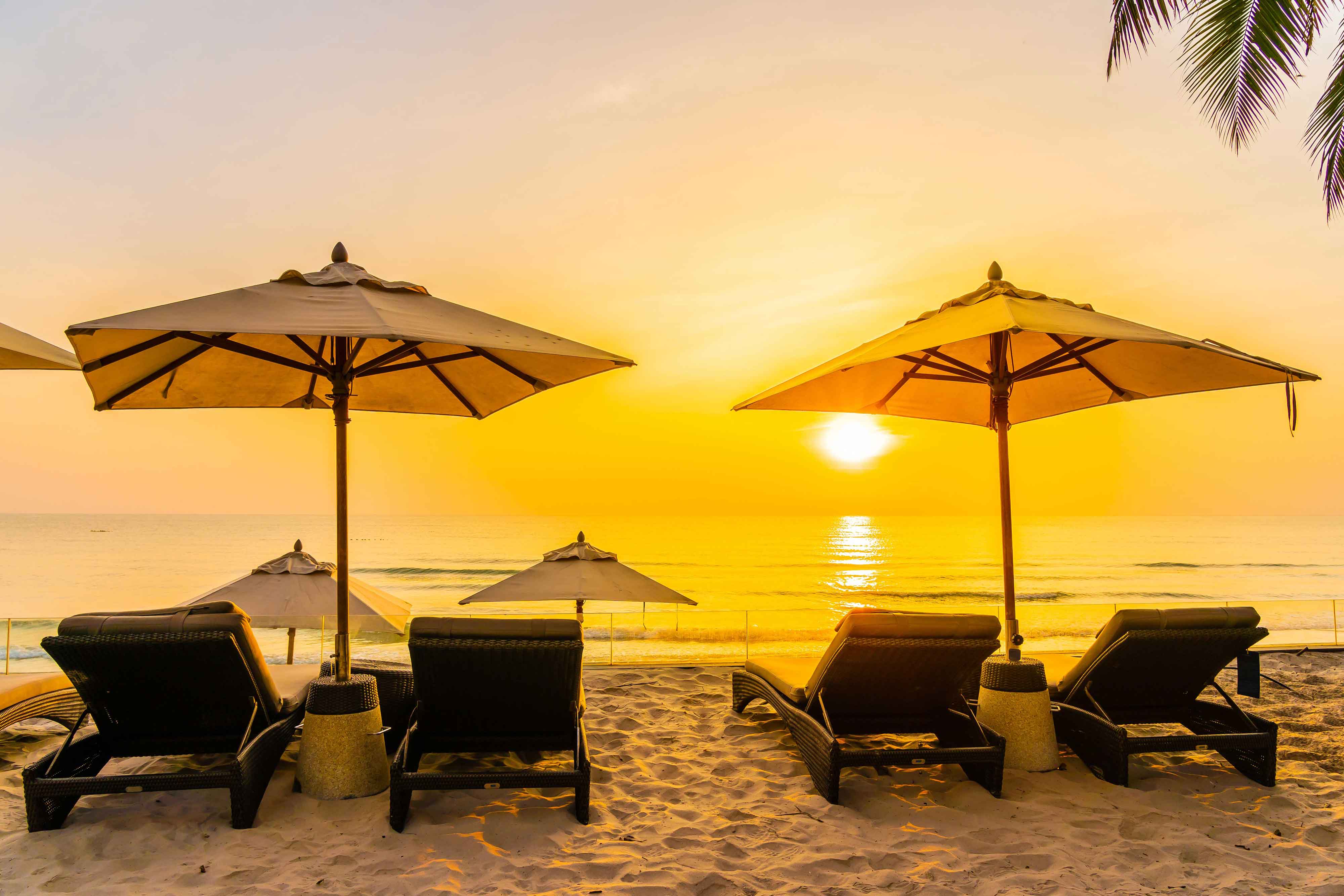 About Srivin Holidays